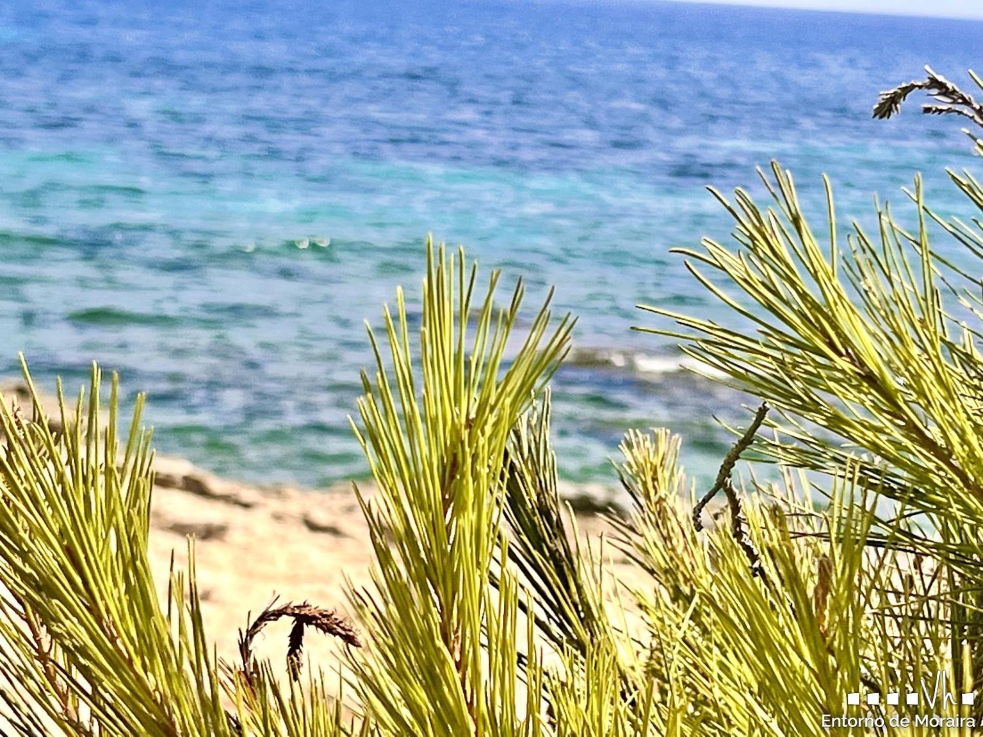 Vh Costablanca - Merlin Benissa Exteriör bild